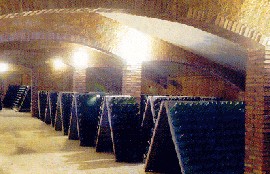 Alt Pened�s - Bodega