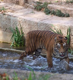 Zoo Barcelona