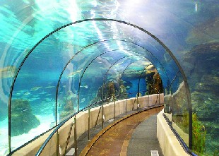 Aqu�rium - Barcelona