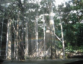 CosmoCaixa, Bosc Inundat - Barcelona
