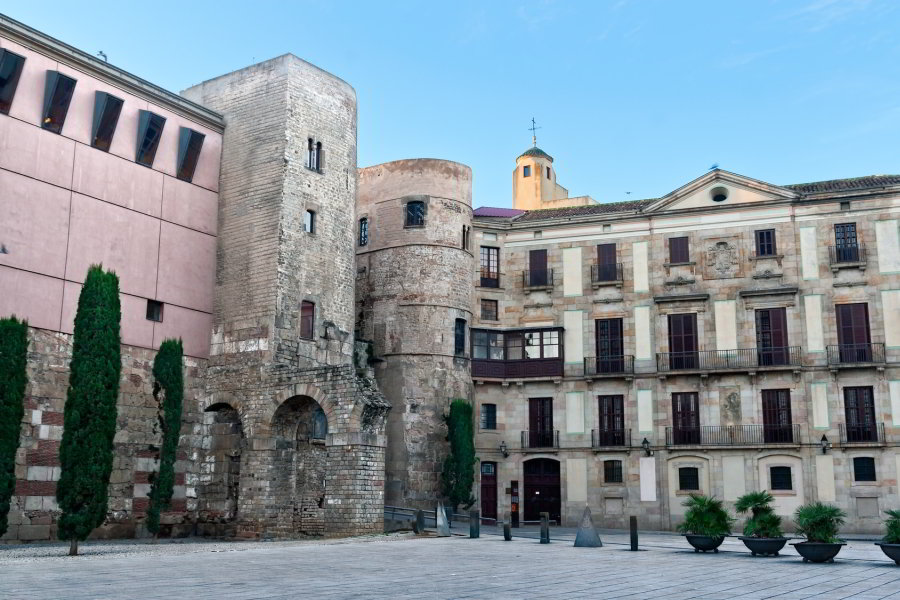 Tour Picasso por Barcelona con entrada al Museo Picasso